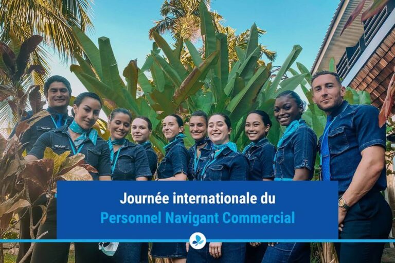 French Bee Cabin Crew Requirements Cabin Crew Hq