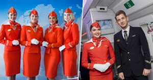 aeroflot russian airline cabin crew hiring