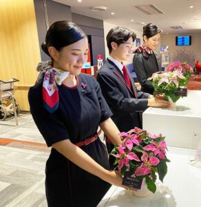 japan airlines male and female crew