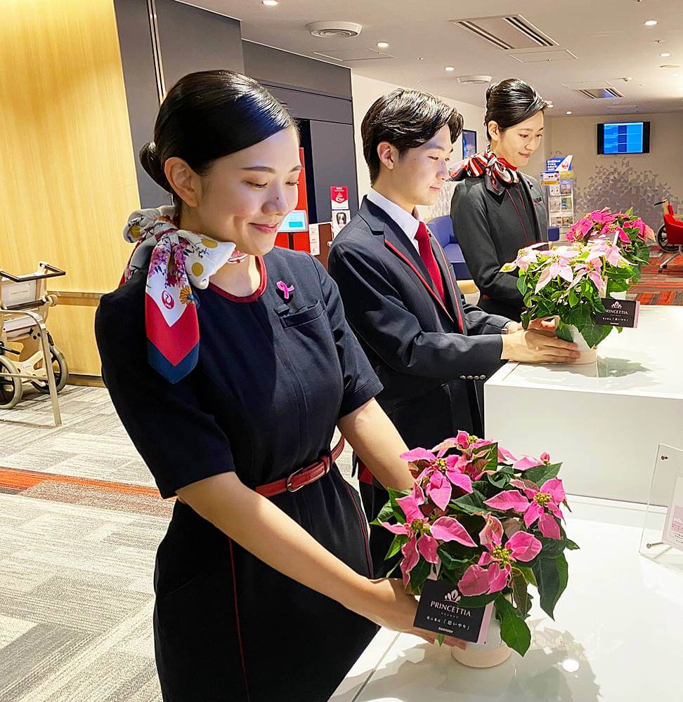 japan airlines staff