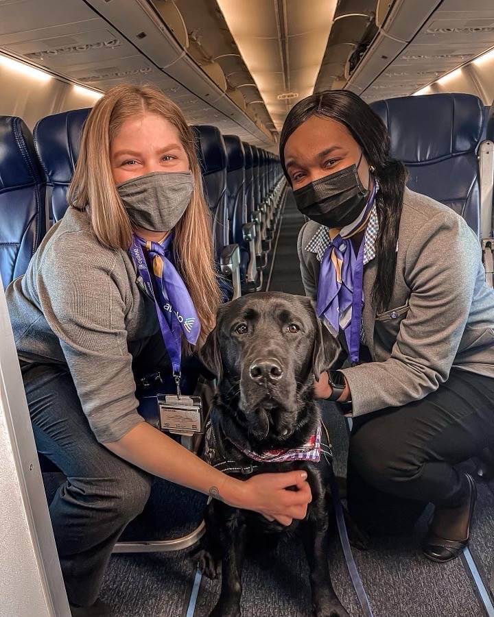 avelo airlines female flight attendants with dog