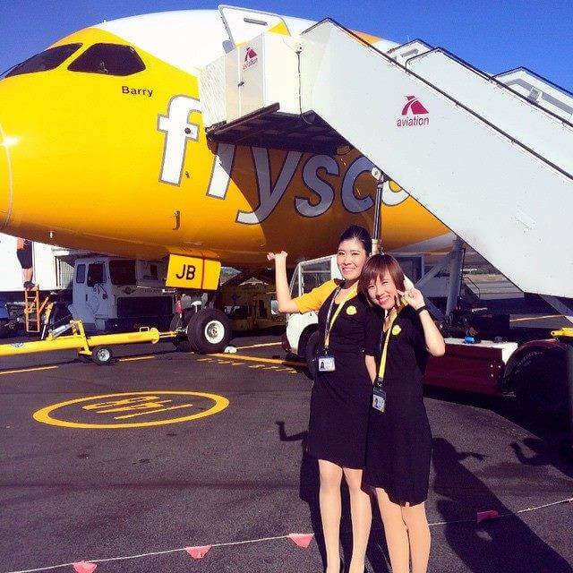How to Apply Scoot Flight Attendant Hiring Cabin Crew HQ