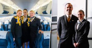alliance airlines flight attendant job requirements
