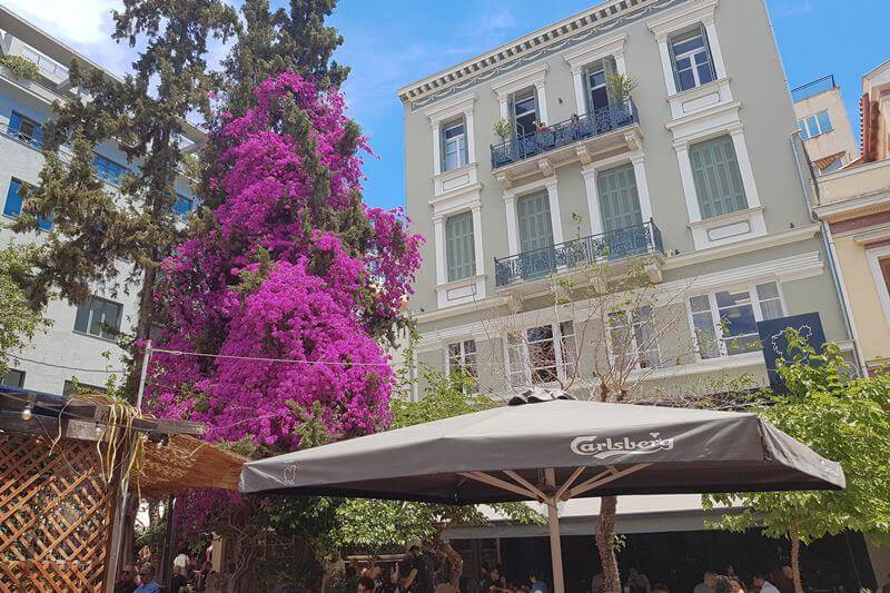 flowers in Plaka Athens