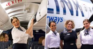 link airways flight attendant requirements