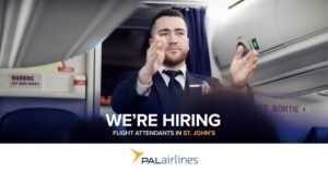 provincial airlines male flight attendant