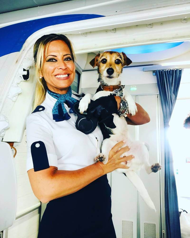 Air Europa flight attendant with puppy