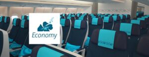 Aircalin Economy Class seats