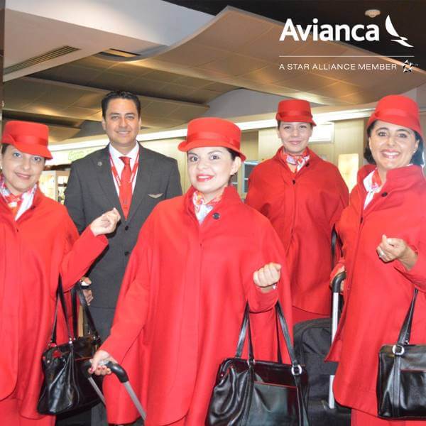 avianca flight attendant job requirements