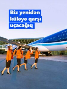 azerbaijan airlines flight attendant job