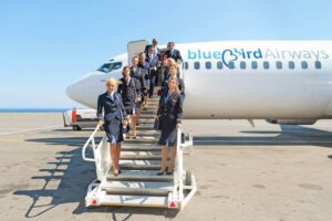 bluebird airways male and female flight attendants