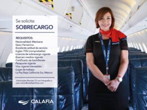 calafia airlines flight attendant job