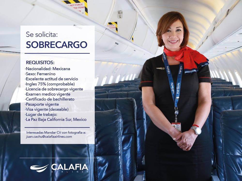 calafia airlines flight attendant job