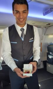la compagnie male flight attendant smile