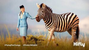 Hi Fly flight attendant zebra
