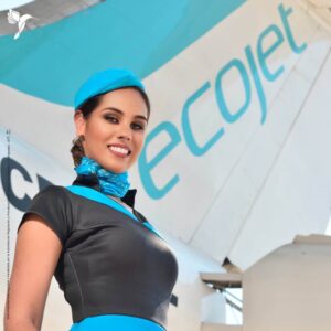 EcoJet flight attendant wings