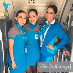 EcoJet flight attendants cabin door