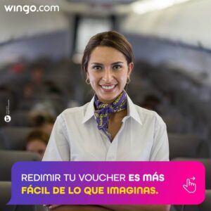 Wingo female flight attendant smile