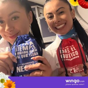 Wingo female flight attendants